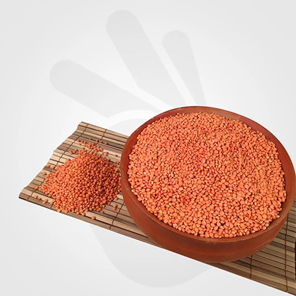 মসুর ডাল (Lentil)-image